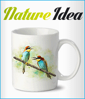 Ideas from nature - shirts, mugs, gifts